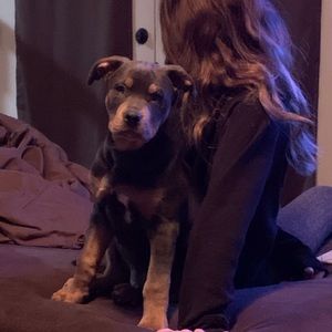 Meet your Posher, Jaymie